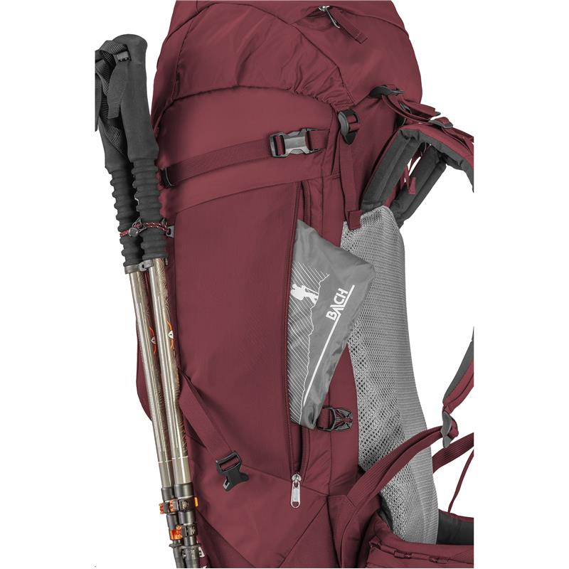 NAHRBTNIK BACH DAYDREAM 50