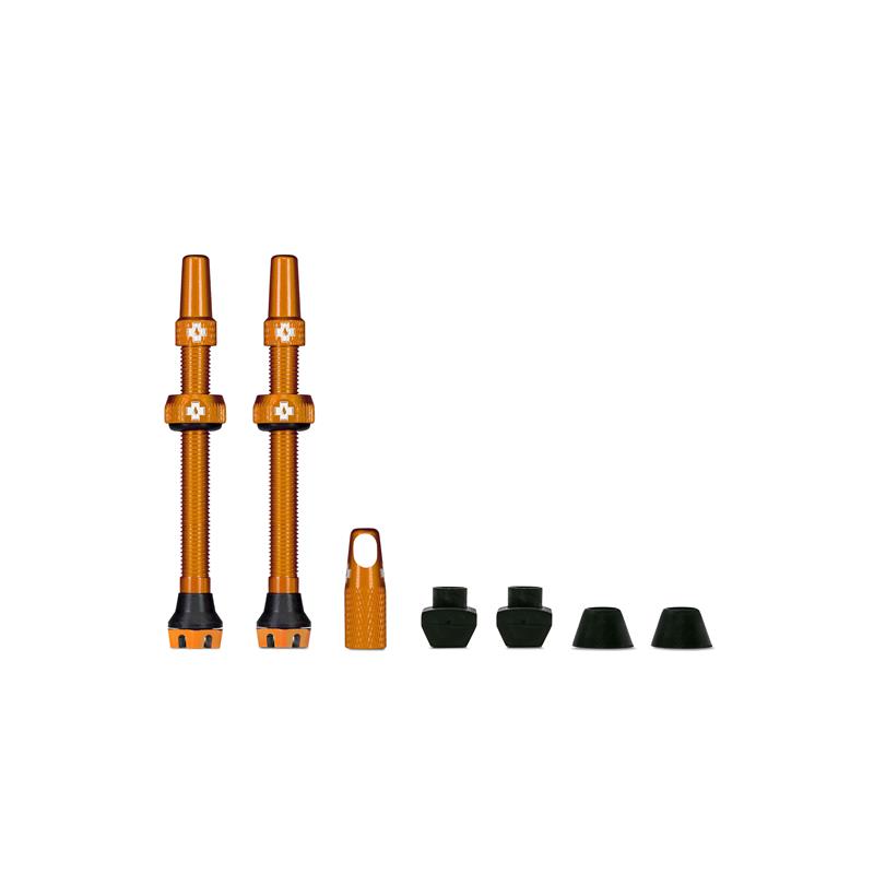 TUBELESS VENTIL MUC-OFF V2