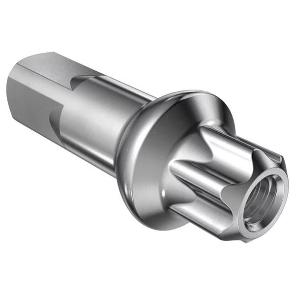 NIPEL DT SWISS 2.0x15 SQUORX PH PL 100 KOSOV